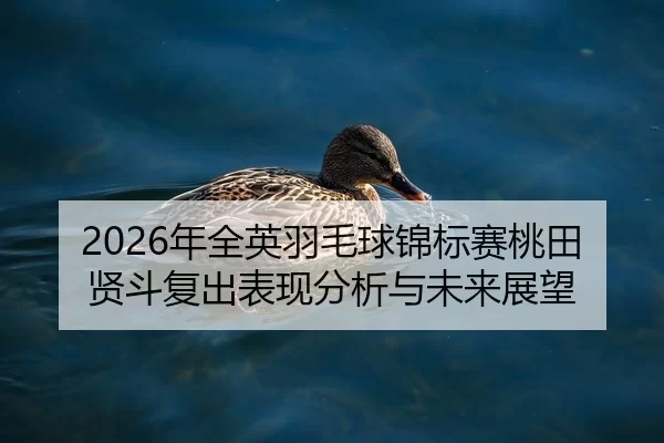 nian-quan-ying-yu-mao-qiu-jin-biao-sai-tao-tian-xian-dou-fu-chu-biao-xian-fen-xi-yu-wei-lai-zhan-wang-2-155.jpg