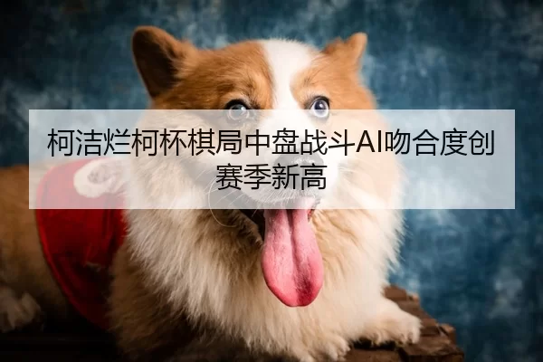 柯洁烂柯杯棋局中盘战斗AI吻合度创赛季新高