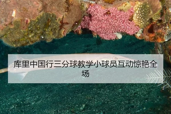 ku-li-zhong-guo-xing-san-fen-qiu-jiao-xue-xiao-qiu-yuan-hu-dong-jing-yan-quan-chang-2-320.jpg