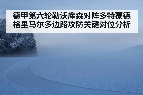 德甲第六轮勒沃库森对阵多特蒙德格里马尔多边路攻防关键对位分析